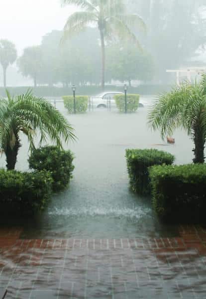 Organizing Your Storage for Hurricane Season Image